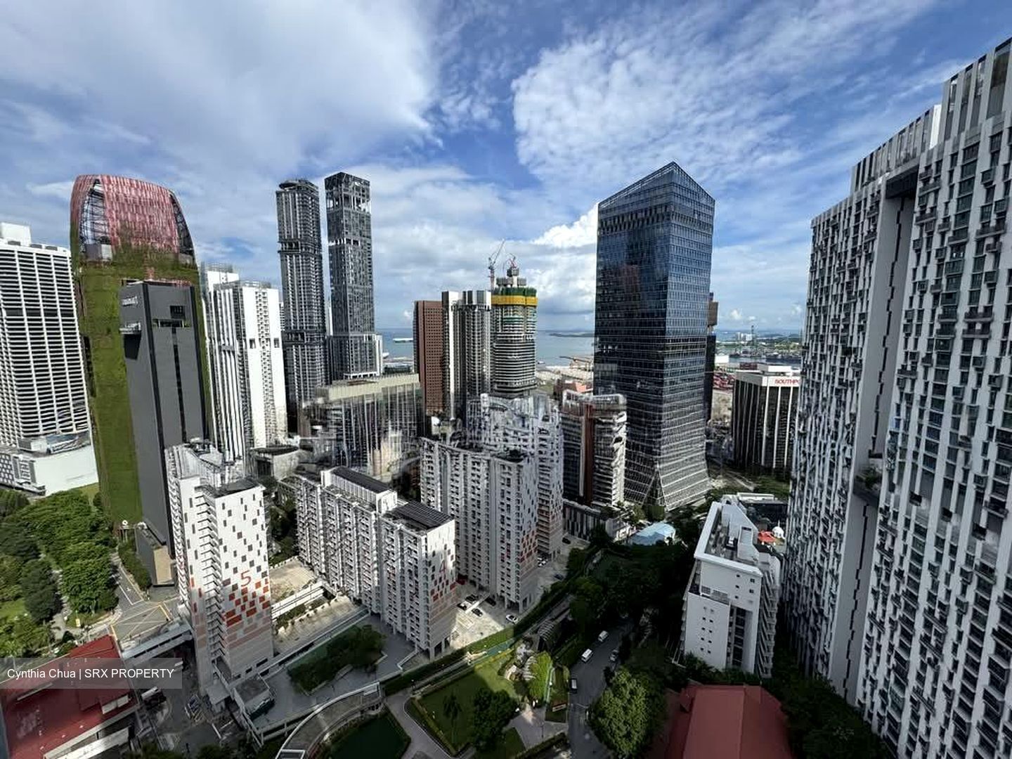 Blk 1 The Pinnacle@Duxton (Bukit Merah), HDB 4 Rooms #557367991